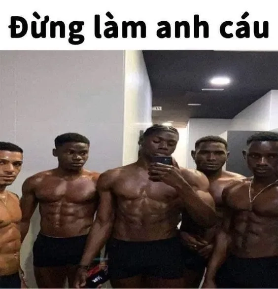 Hài lạ mắt với chế meme Việt Nam, sáng tạo không giới hạn.