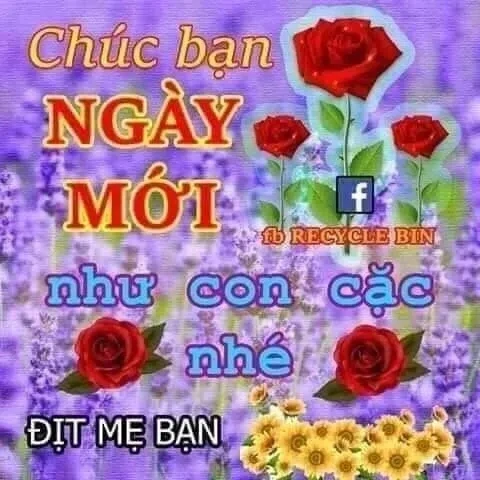 Ảnh meme troll Việt Nam mang lại tiếng cười không ngớt.