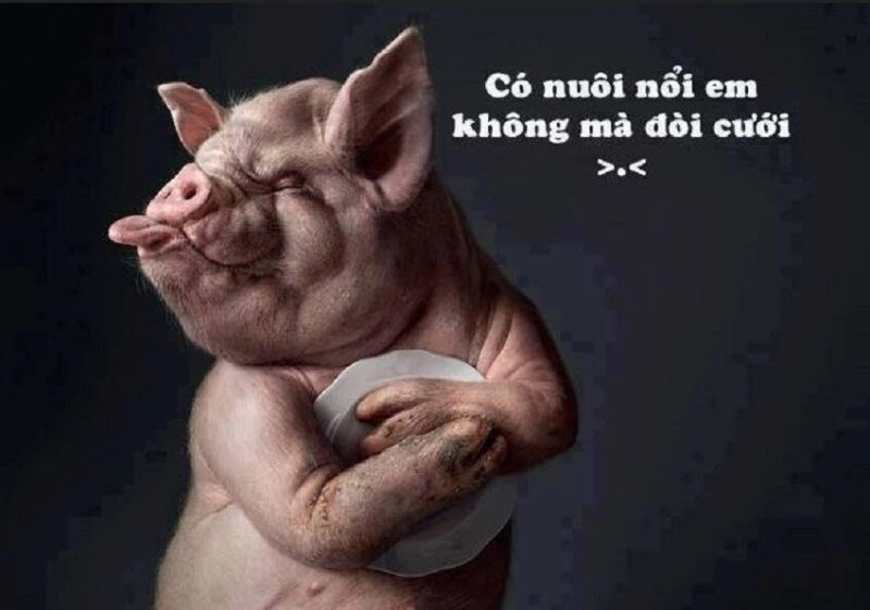 Meme ngày mới vui vẻ mang đến sự tươi mới và hứng khởi cho ngày hôm nay.