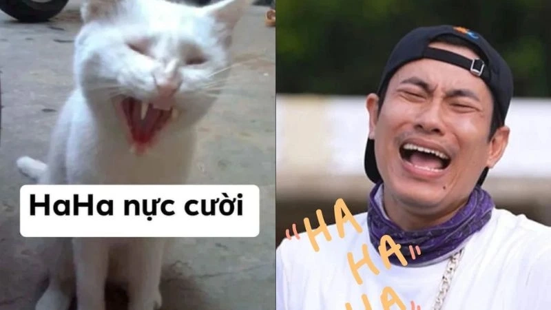 Ngày mới vui vẻ meme giúp bạn có một khởi đầu tuyệt vời và đầy hứng khởi.