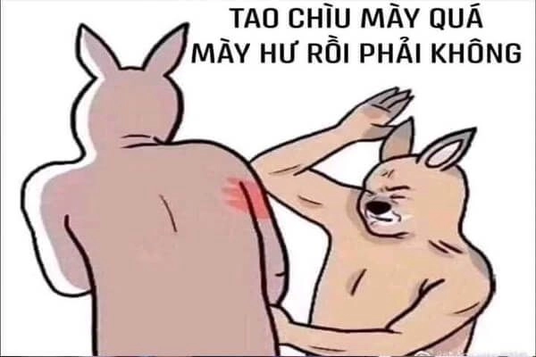 Meme vui buồn phản ánh sự thay đổi cảm xúc trong cuộc sống.