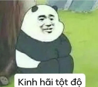 Cùng xem ngu thì chết meme, bạn sẽ phải cười ra nước mắt!