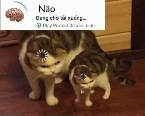 Meme giả ngu này khiến bạn không thể dừng lại cười!