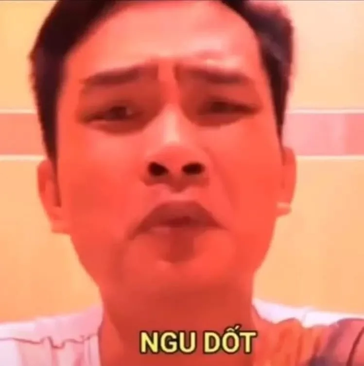 Mặt ngu meme này thật sự rất hài hước và dễ thương!