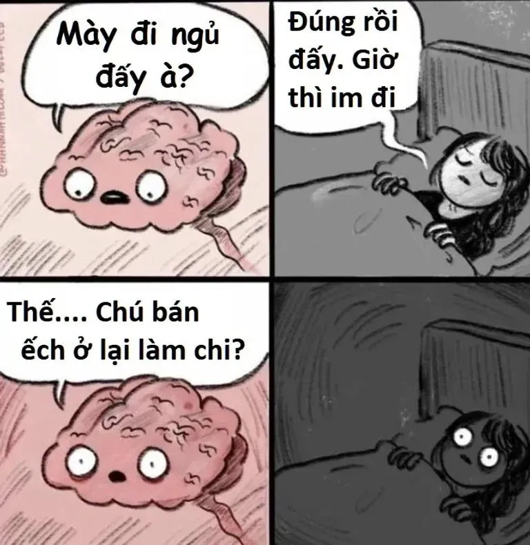 Lườm nguýt meme mèo lườm sẽ làm bạn bật cười ngay lập tức!