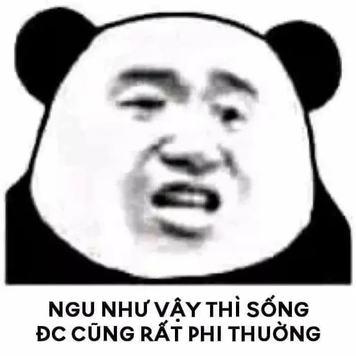 Đồ ngu đồ ăn hại meme này chắc chắn sẽ mang lại tiếng cười sảng khoái!