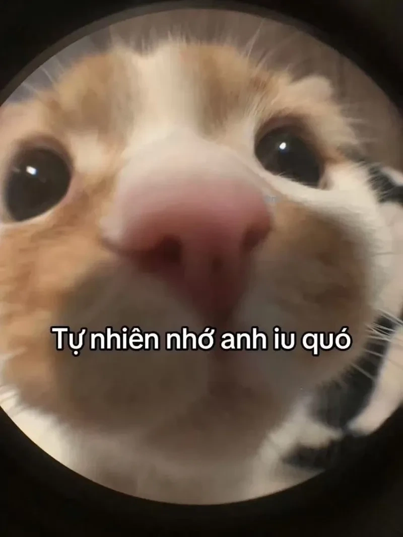 Anh nhớ em meme cực kỳ đáng yêu và dễ thương.