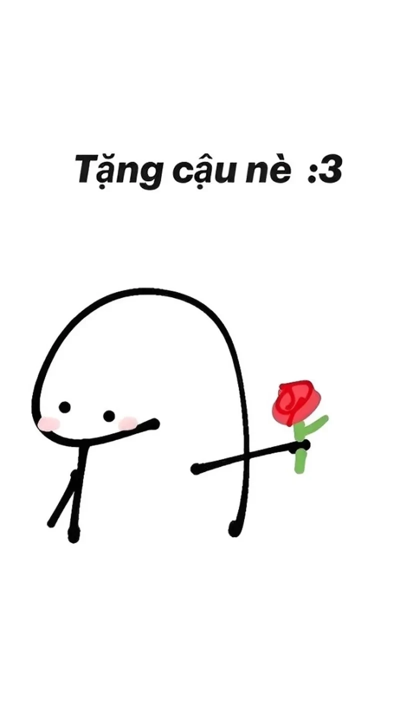 Meme mèo tặng quà, món quà dễ thương gửi gắm tình yêu và sự quan tâm.