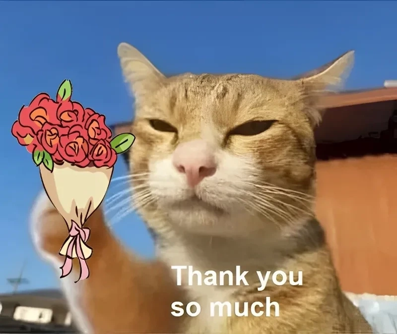 Thank you dear meme, lời cảm ơn ngọt ngào gửi đến người thân yêu!