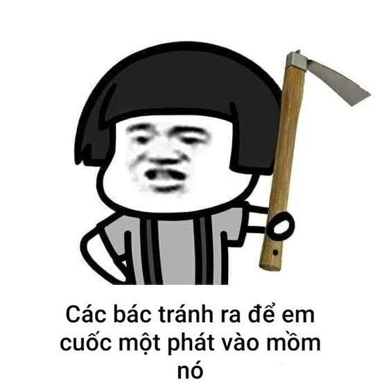 Meme tao thấy mà tao tức á hài hước không thể bỏ qua!