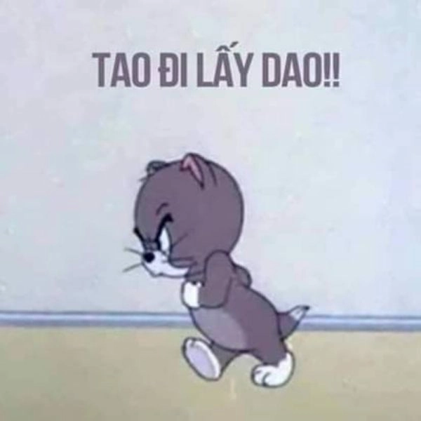 Cười không ngừng với meme mèo tom tức giận!