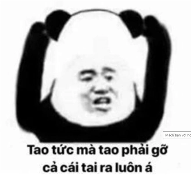 Khám phá ngay con mèo tức giận meme dễ thương và hài hước!