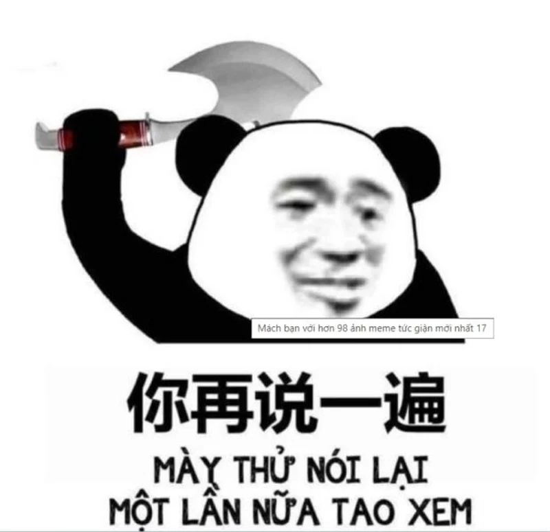 Mèo meme tức giận có thể khiến bạn phải yêu thích vì độ đáng yêu lẫn hài hước.