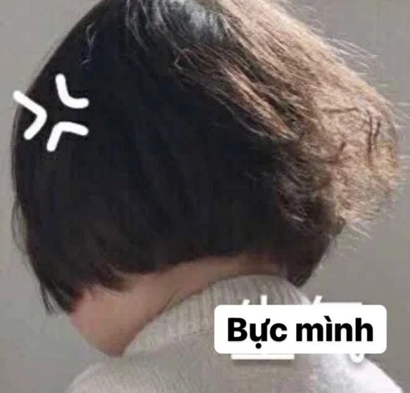 Hình ảnh meme tức giận là lựa chọn tuyệt vời để thể hiện cảm xúc giận dữ.