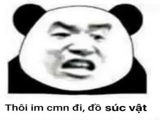 Meme gấu trúc dễ thương gây bão mạng và tạo tiếng cười