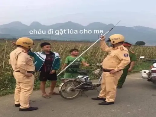 Khám phá meme Việt Nam hài hước đậm chất đời thường