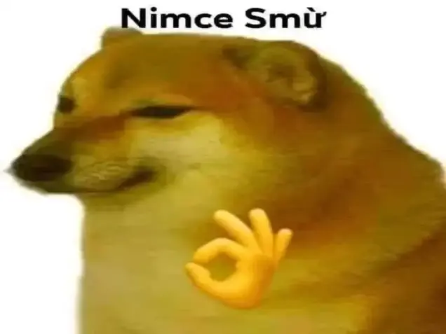 Doge meme là gì và lý do khiến nó trở thành hiện tượng