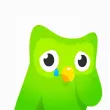 Tải ngay bộ meme duolingo hài hước lầy lội nhất hiện nay
