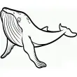 Tuyển tập tranh tô màu con cá voi sắc nét ấn tượng khó quên