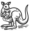 Thưởng thức bộ tranh tô màu Kangaroo tinh tế đầy mê hoặc
