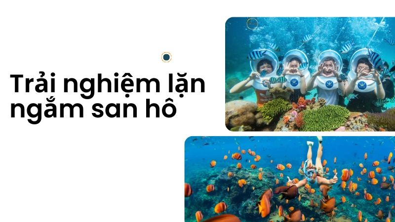 Trải nghiệm lặn ngắm san hô tại hòn Móng Tay Phú Quốc