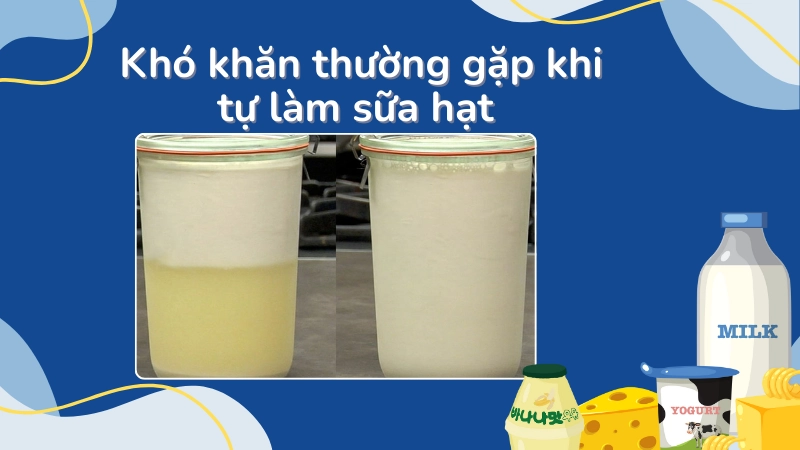 Sữa hạt bị kết tủa và tách lớp do chế biến sai cách
