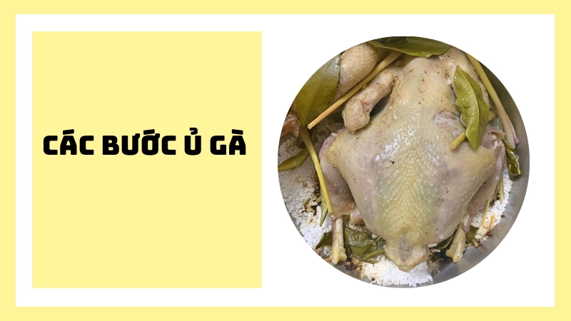Cách xếp gà vào nồi ủ muối cùng sả và lá chanh