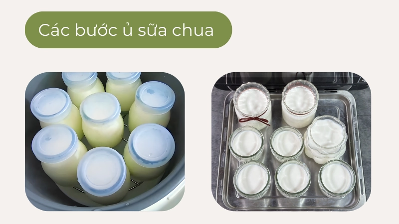 Xếp hũ thủy tinh vào nồi ủ sữa chua với nước ấm