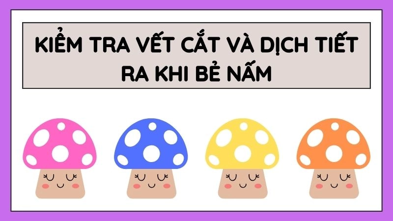 Kiểm tra vết cắt và dịch tiết ra khi bẻ nấm