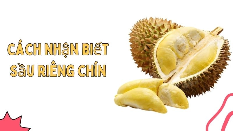 Quan sát hình dáng bên ngoài – Dấu hiệu đầu tiên