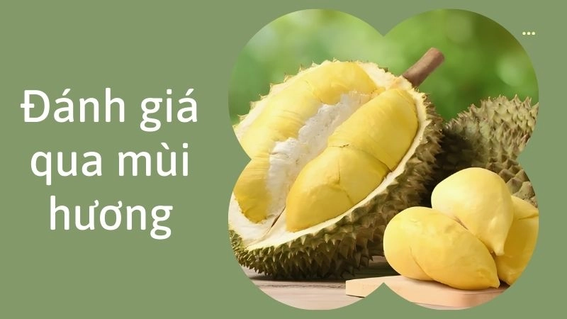 Đánh giá qua mùi hương