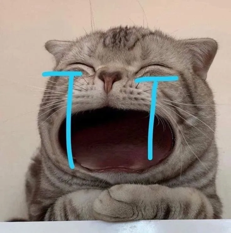 Hình chế hài được nhiều người yêu thích