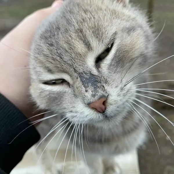 Hình chế hài hước mang phong cách sáng tạo