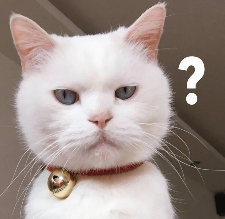 Hài hoạt hình chế được yêu thích trên mạng