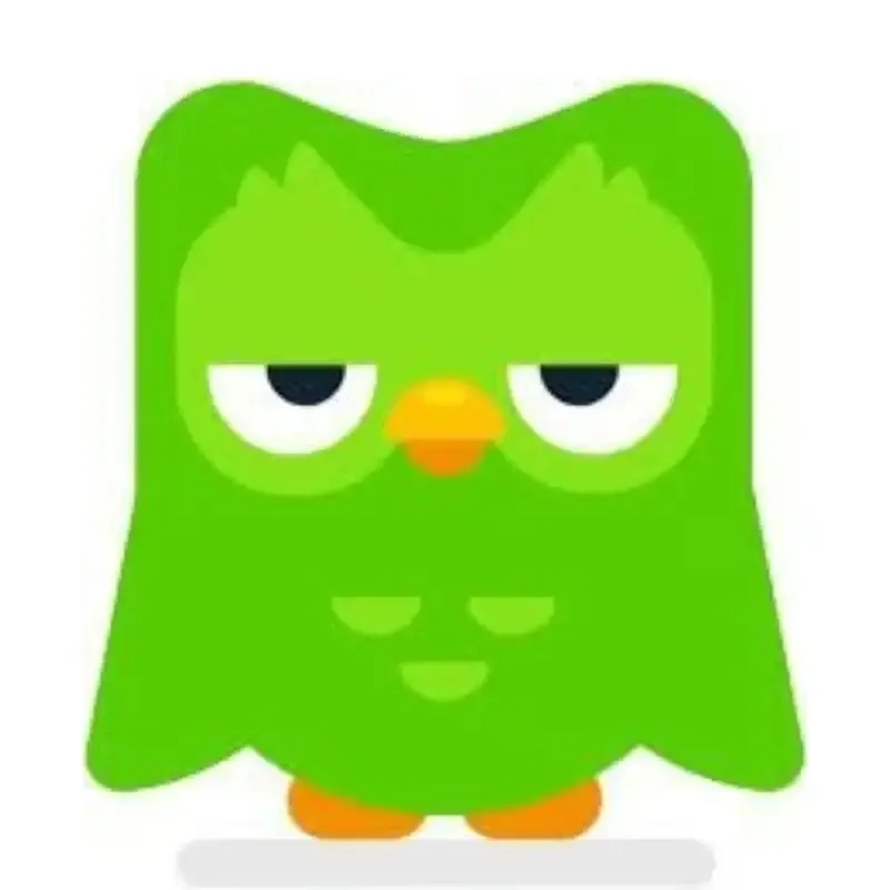 Duolingo meme việt nam rất phổ biến hiện nay