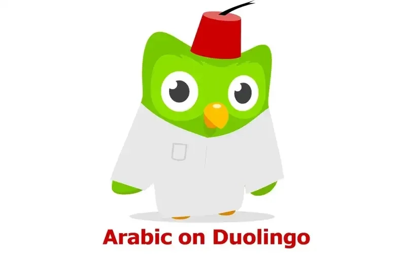 Duolingo meme chinese liên quan học tiếng trung