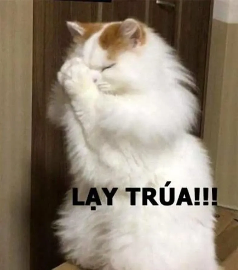 Lạy meme dùng khi không còn lời nào để nói