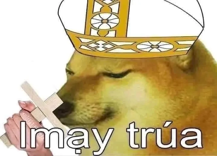 Quỳ meme biểu cảm đầu hàng cực kỳ hài hước