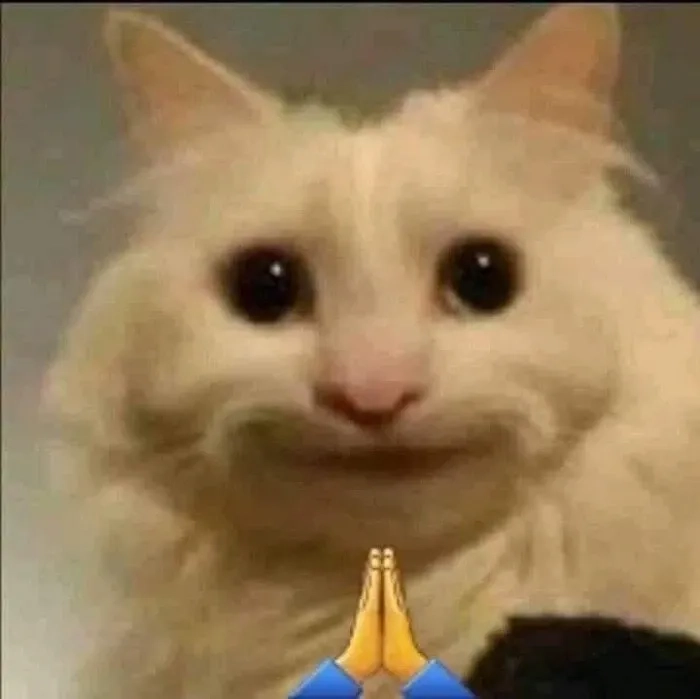 Meme quỳ lạy biểu cảm xin thua đầy hài hước