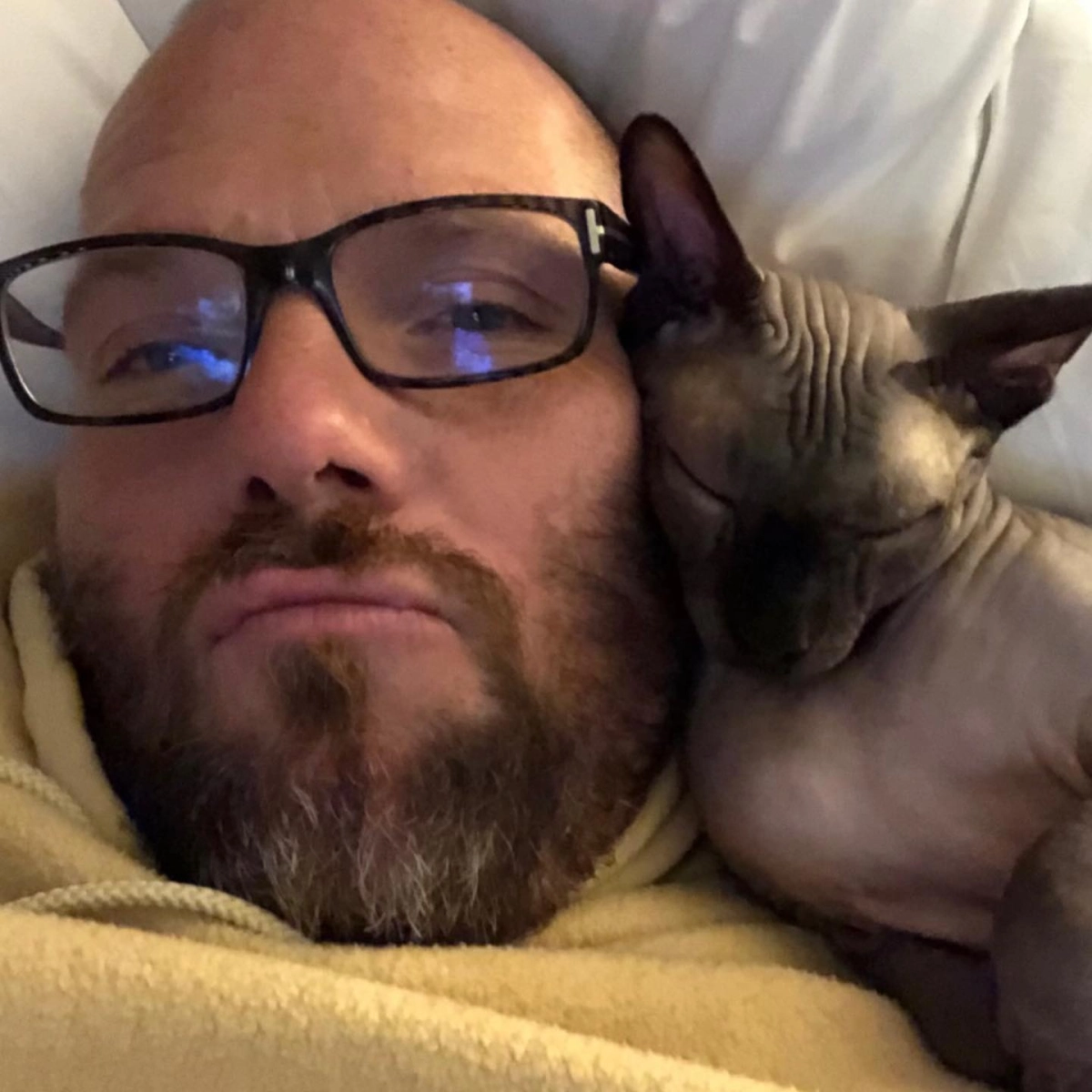 Actor robert downey jr có sự nghiệp rất rực rỡ