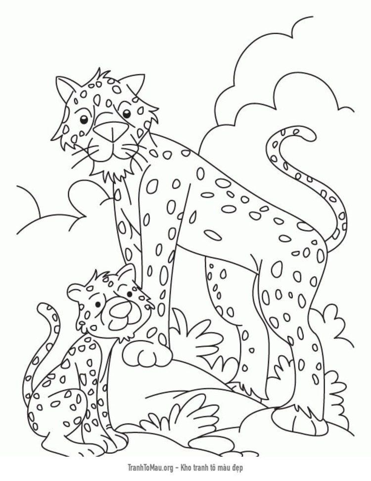 Tranh tô màu con báo cho bé học tô dễ dàng