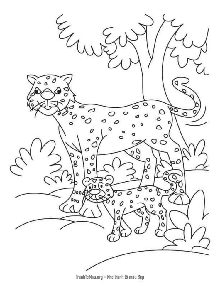 Tranh tô màu báo rừng sinh động cho bé tập tô