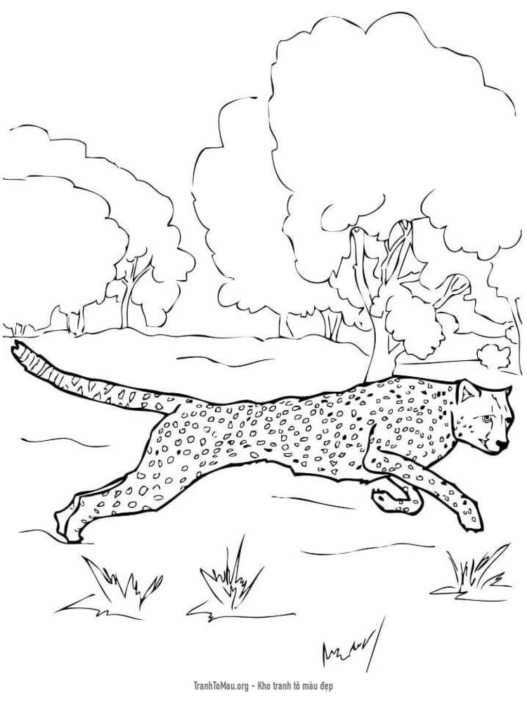 Trang tô màu con báo miễn phí tải in cho bé