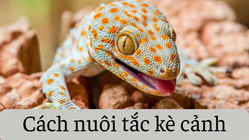 Thiết lập không gian sống chuẩn 