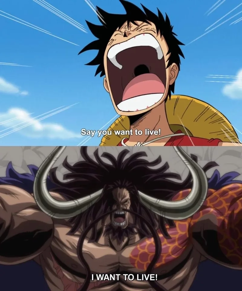 Kaido laugh meme cực kỳ nổi tiếng.