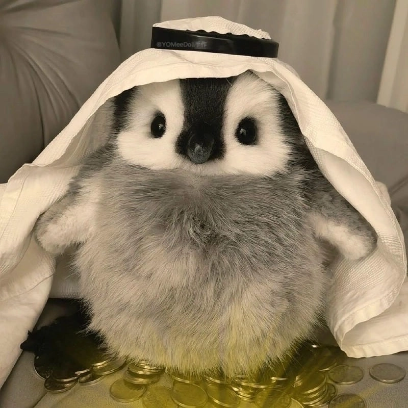 Đốn tim bạn bè bằng những khung hình avatar cánh cụt cute tròn trịa, dễ thương.