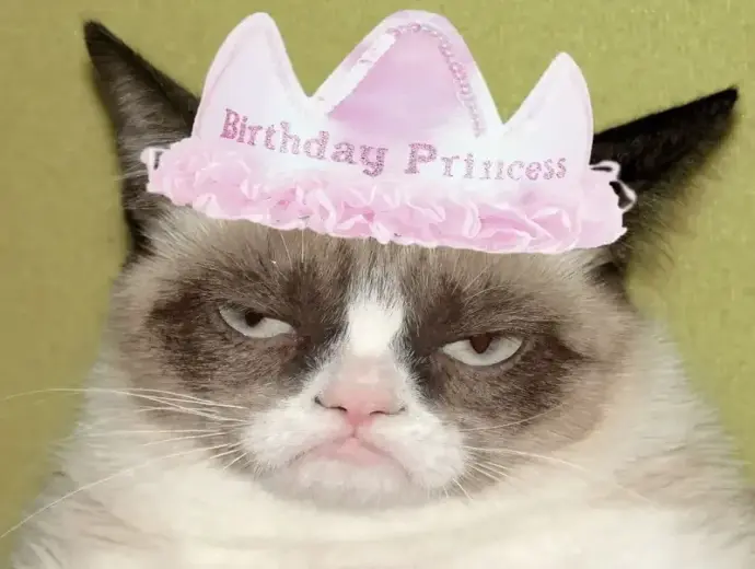 Meme Happy Birthday hài hước gửi gắm lời chúc đặc biệt