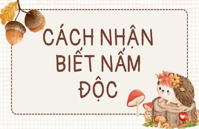 Cách nhận biết nấm độc giúp bạn thoát hiểm phút chót