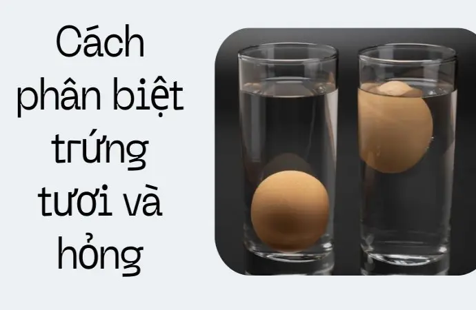 Cách phân biệt trứng tươi và hỏng bằng mẹo dân gian