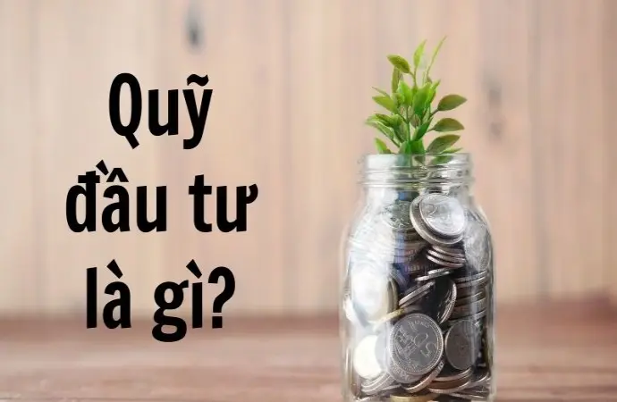Quỹ đầu tư là gì và những rủi ro chết người bạn cần biết